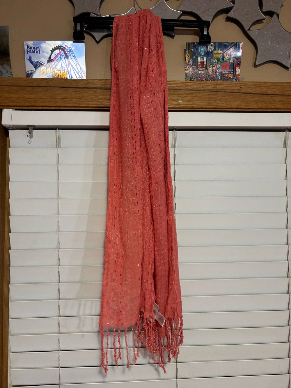 CJ Banks Sparkly Scarf